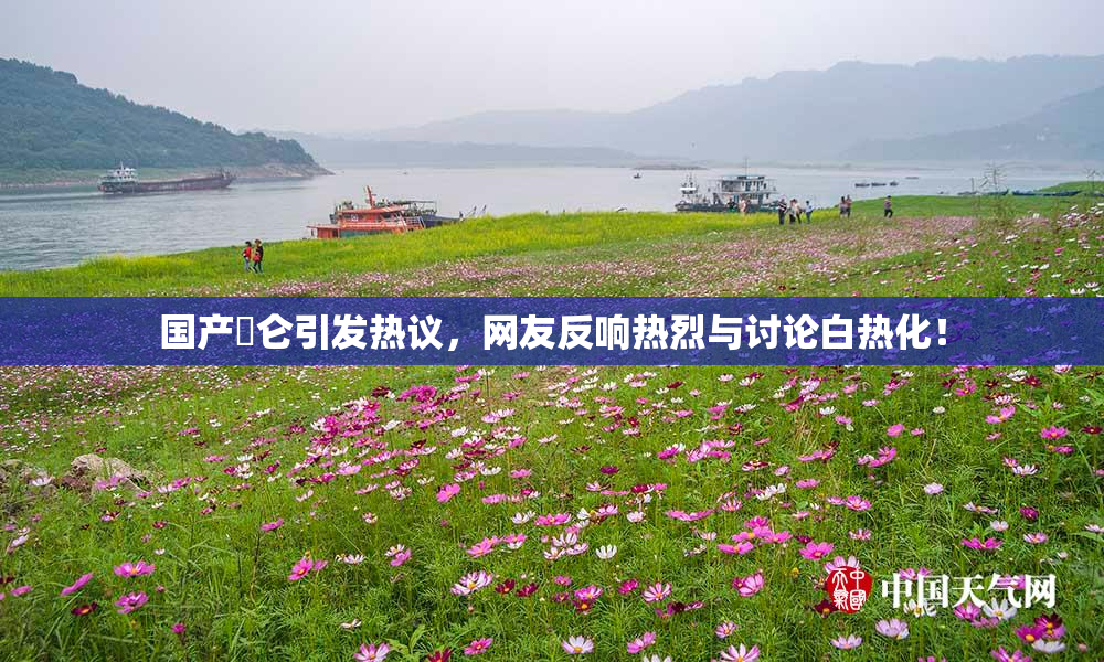 国产婬仑引发热议，网友反响热烈与讨论白热化！