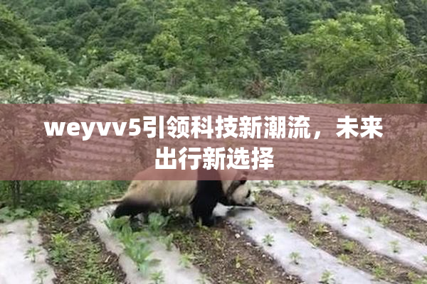 weyvv5引领科技新潮流，未来出行新选择
