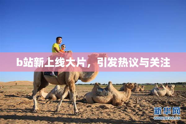 b站新上线大片，引发热议与关注