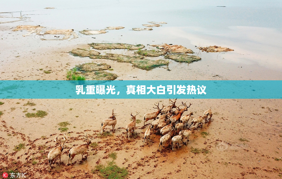 乳重曝光，真相大白引发热议