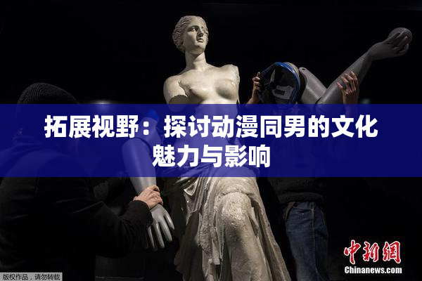 拓展视野：探讨动漫同男的文化魅力与影响