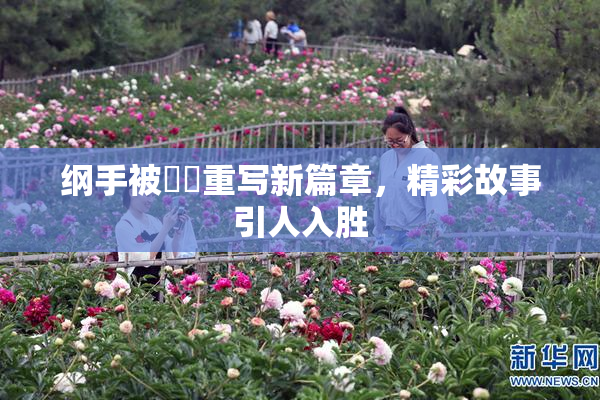 纲手被❌‌重写新篇章，精彩故事引人入胜