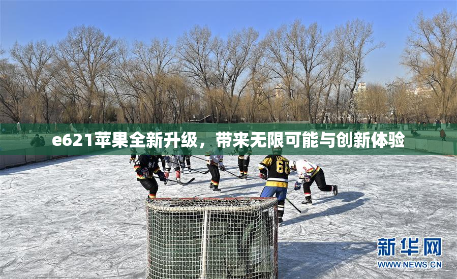 e621苹果全新升级，带来无限可能与创新体验