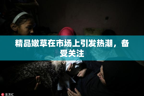 精品嫩草在市场上引发热潮，备受关注