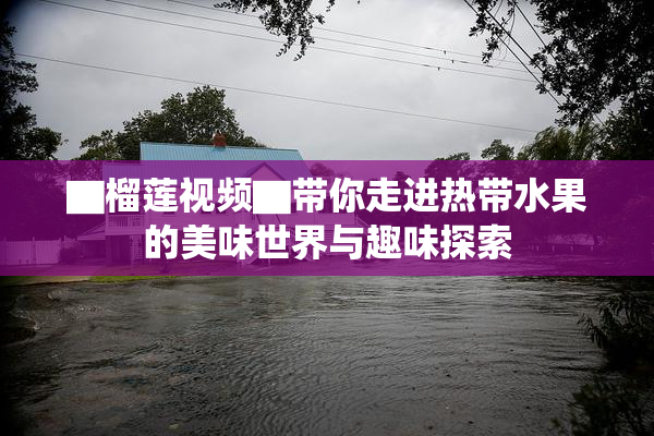 ▇榴莲视频▇带你走进热带水果的美味世界与趣味探索