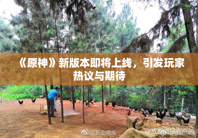 《原神》新版本即将上线，引发玩家热议与期待