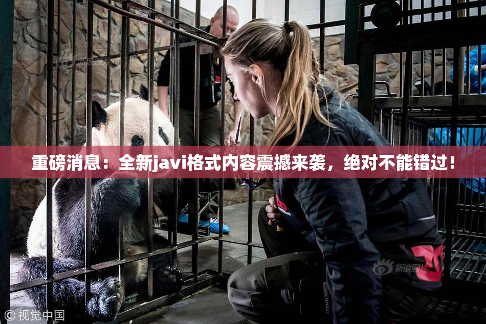 重磅消息：全新javi格式内容震撼来袭，绝对不能错过！