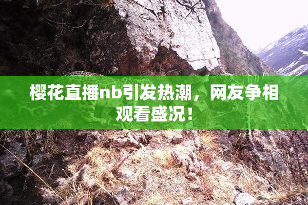 樱花直播nb引发热潮，网友争相观看盛况！