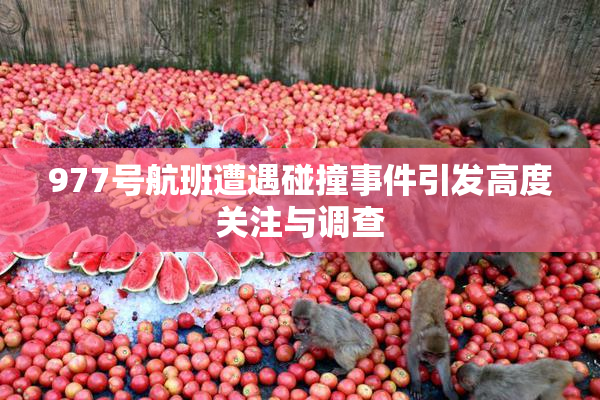 977号航班遭遇碰撞事件引发高度关注与调查