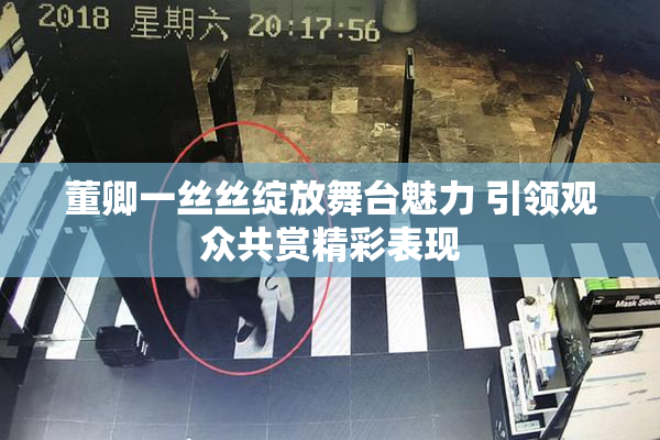 董卿一丝丝绽放舞台魅力 引领观众共赏精彩表现