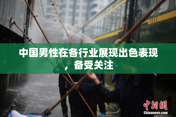 中国男性在各行业展现出色表现，备受关注