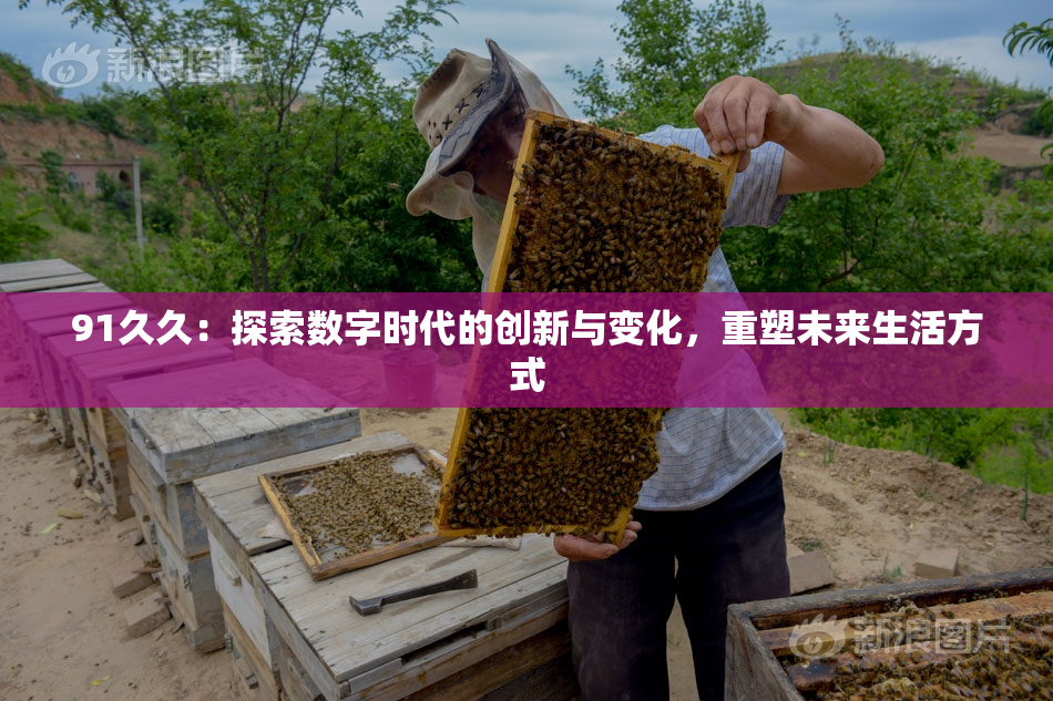 91久久：探索数字时代的创新与变化，重塑未来生活方式