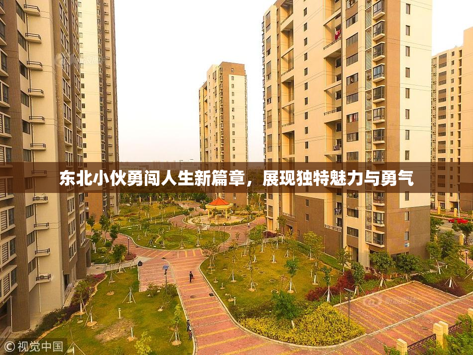 东北小伙勇闯人生新篇章，展现独特魅力与勇气