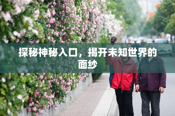 探秘神秘入口，揭开未知世界的面纱