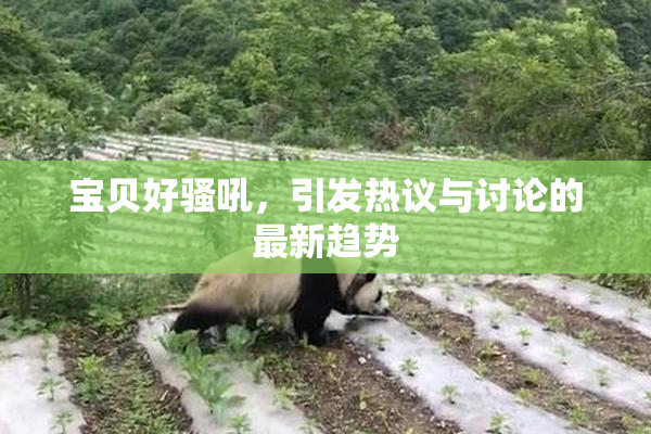 宝贝好骚吼，引发热议与讨论的最新趋势