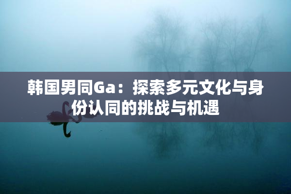 韩国男同Ga：探索多元文化与身份认同的挑战与机遇