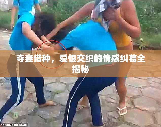 夺妻借种，爱恨交织的情感纠葛全揭秘