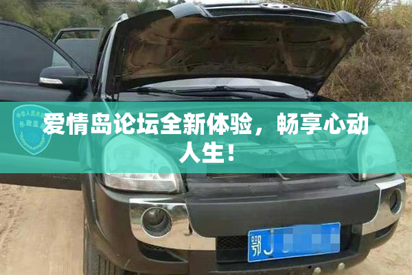 爱情岛论坛全新体验，畅享心动人生！