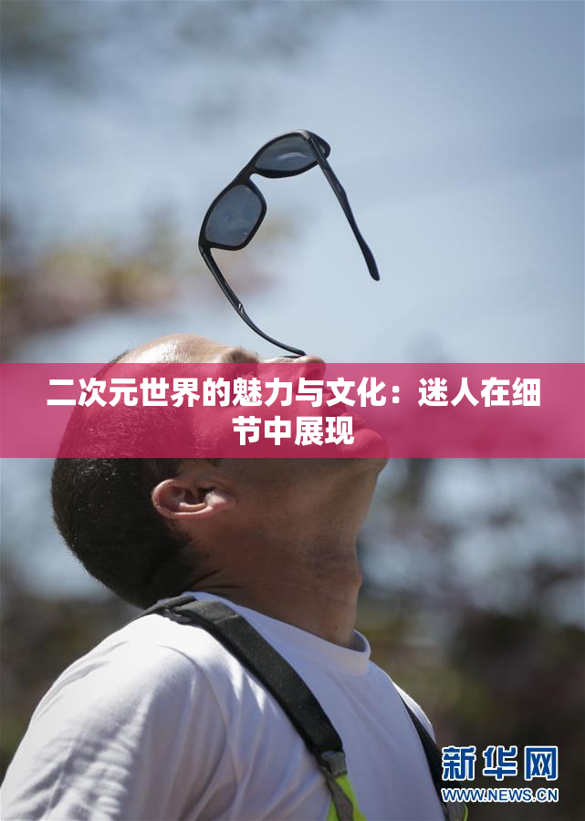 二次元世界的魅力与文化：迷人在细节中展现