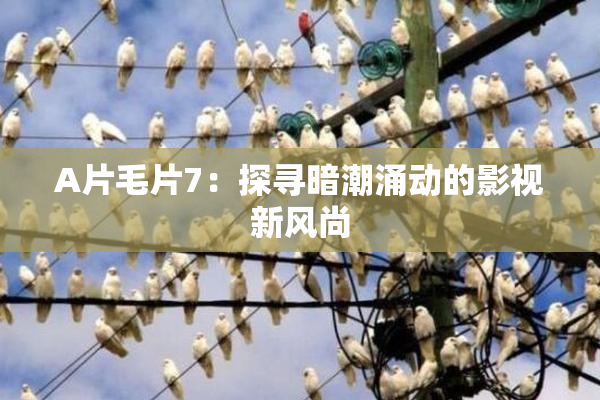 A片毛片7：探寻暗潮涌动的影视新风尚