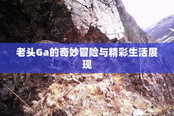 老头Ga的奇妙冒险与精彩生活展现