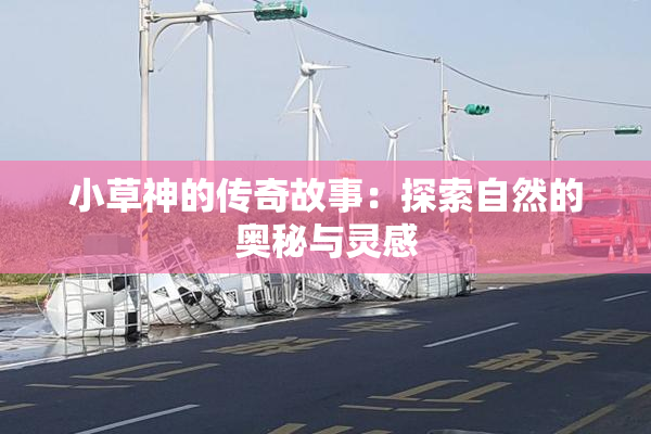 小草神的传奇故事：探索自然的奥秘与灵感