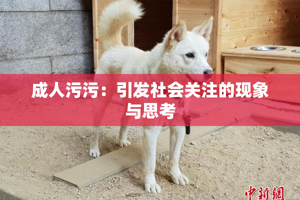 成人污污：引发社会关注的现象与思考
