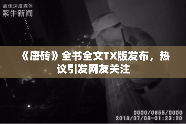 《唐砖》全书全文TX版发布，热议引发网友关注