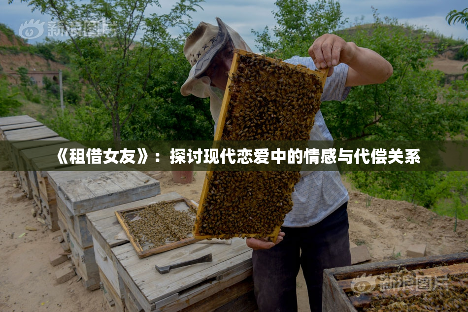《租借女友》：探讨现代恋爱中的情感与代偿关系