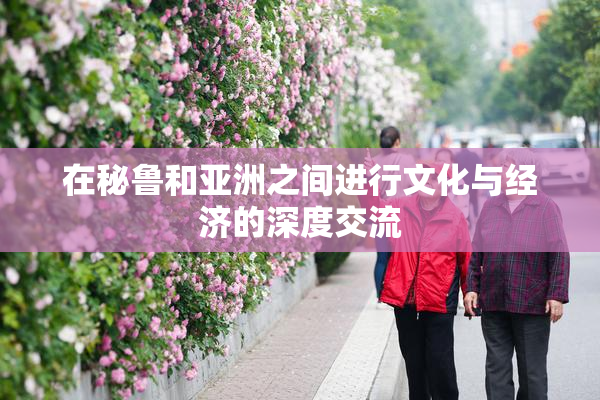 在秘鲁和亚洲之间进行文化与经济的深度交流