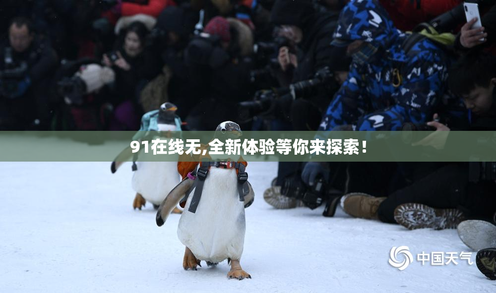 91在线无,全新体验等你来探索！