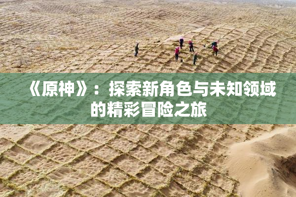 《原神》：探索新角色与未知领域的精彩冒险之旅