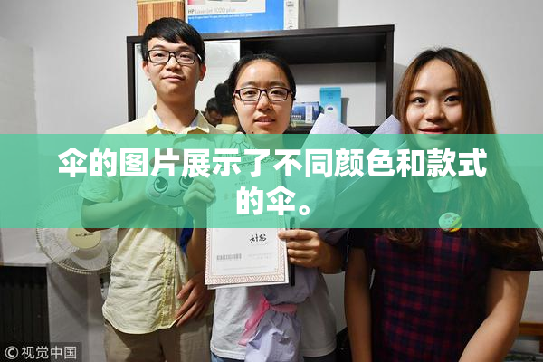 伞的图片展示了不同颜色和款式的伞。