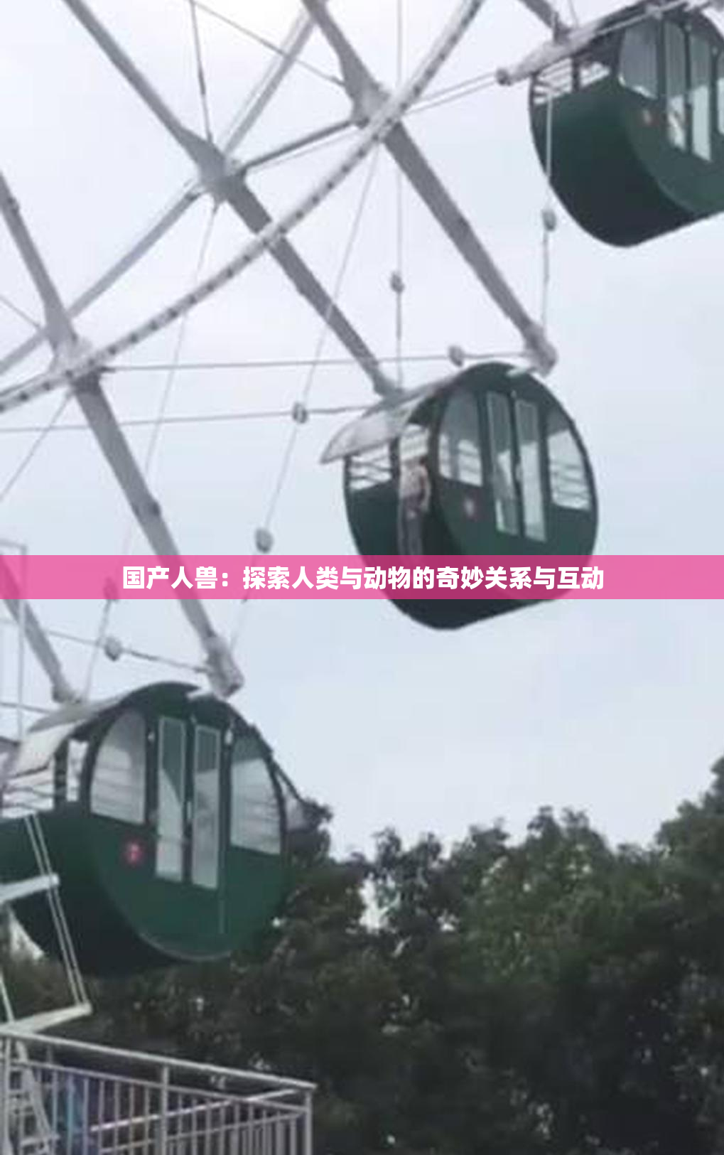 国产人兽：探索人类与动物的奇妙关系与互动