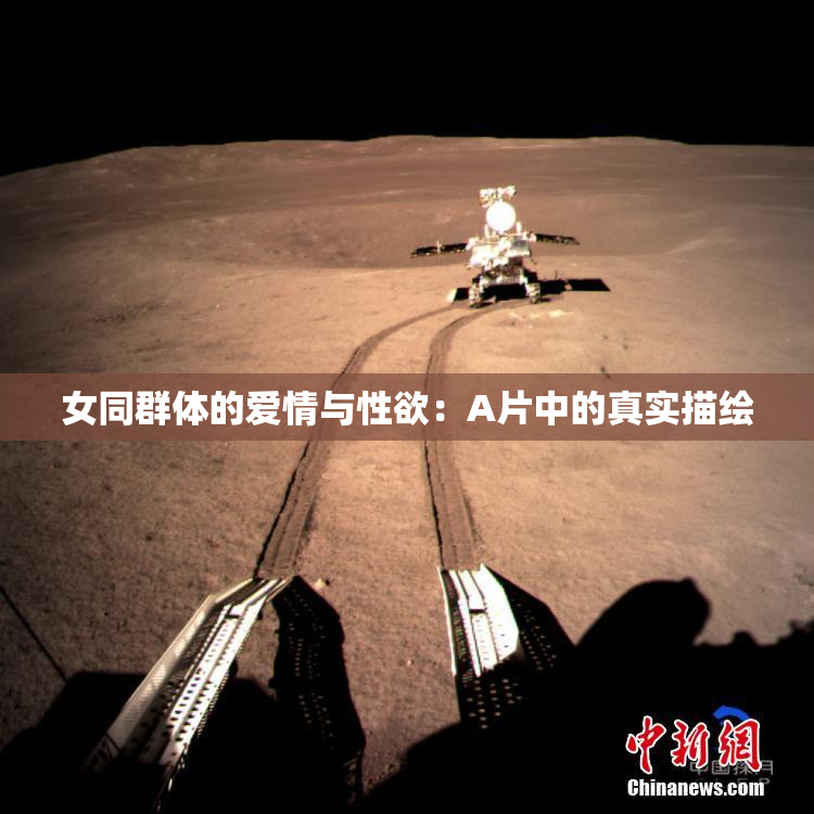 女同群体的爱情与性欲：A片中的真实描绘