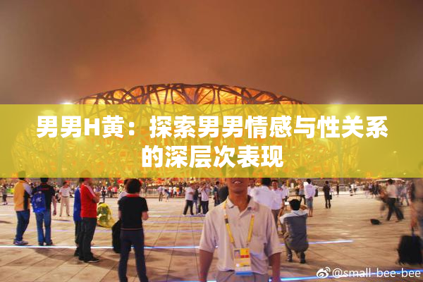 男男H黄：探索男男情感与性关系的深层次表现