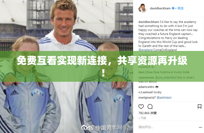免费互看实现新连接，共享资源再升级！