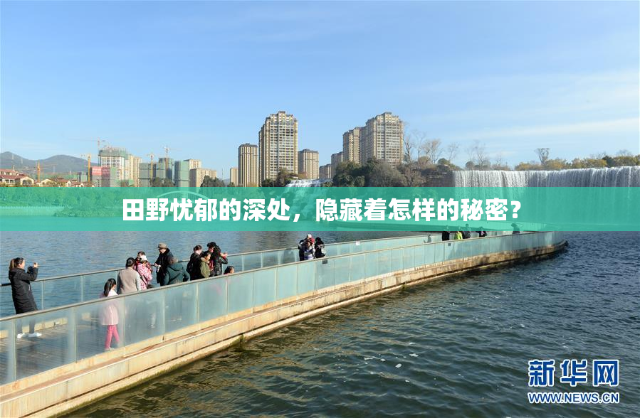 田野忧郁的深处，隐藏着怎样的秘密？