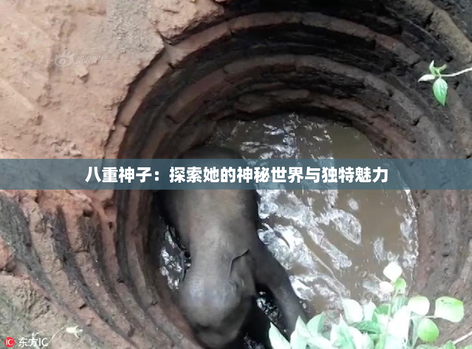 八重神子：探索她的神秘世界与独特魅力