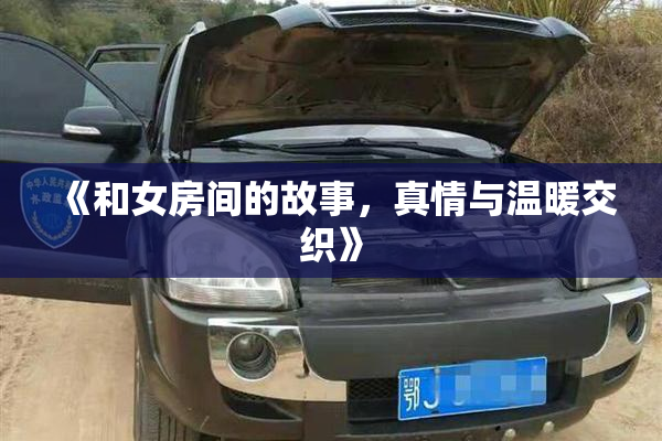 《和女房间的故事，真情与温暖交织》