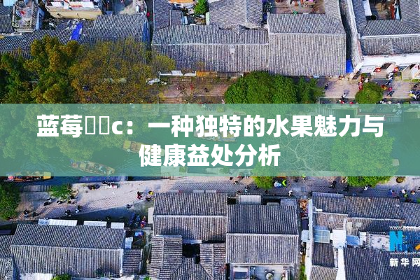 蓝莓❌‌c：一种独特的水果魅力与健康益处分析