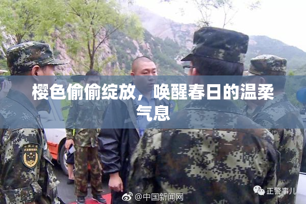 樱色偷偷绽放，唤醒春日的温柔气息