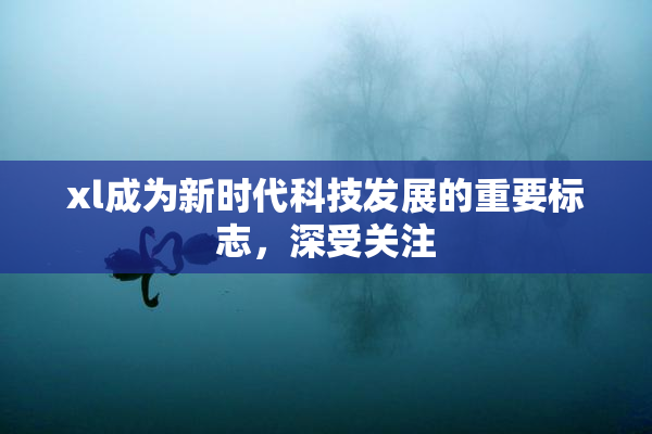 xl成为新时代科技发展的重要标志，深受关注