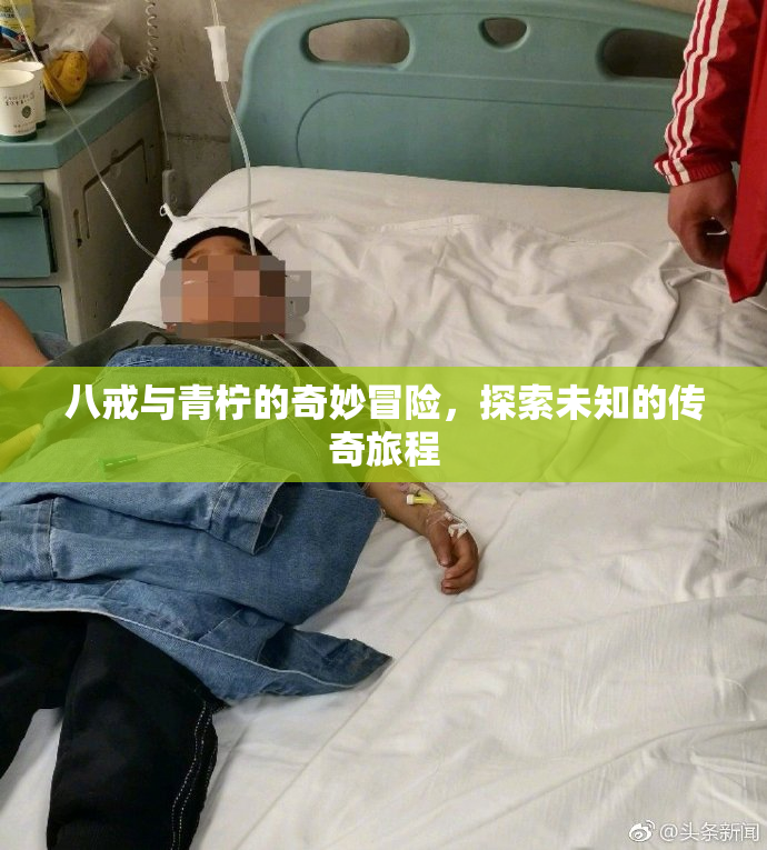 八戒与青柠的奇妙冒险，探索未知的传奇旅程