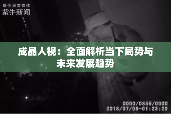 成品人视：全面解析当下局势与未来发展趋势