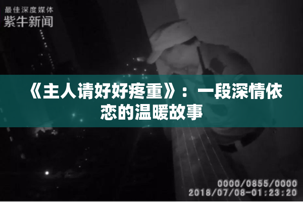 《主人请好好疼重》：一段深情依恋的温暖故事