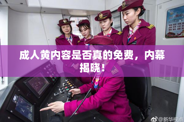 成人黄内容是否真的免费，内幕揭晓！