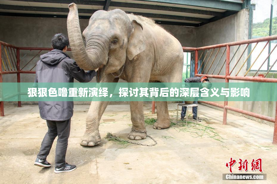 狠狠色噜重新演绎，探讨其背后的深层含义与影响