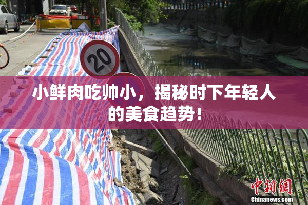 小鲜肉吃帅小，揭秘时下年轻人的美食趋势！