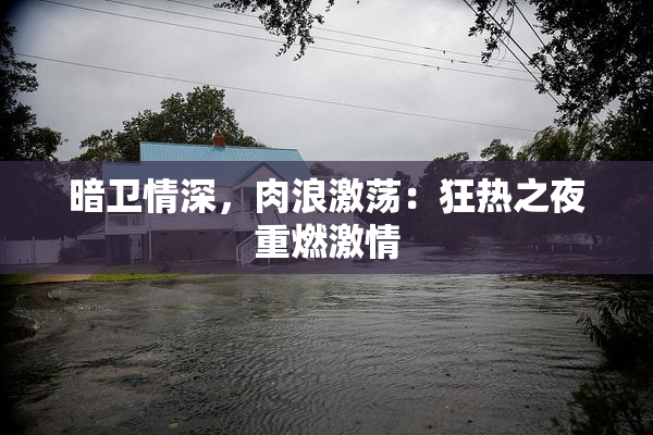 暗卫情深，肉浪激荡：狂热之夜重燃激情